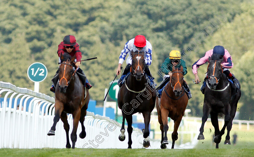 Rogue-0001 
 ROGUE (left, Thore Hammer Hansen) beats LETHAL LUNCH (right) and LOS CAMACHOS (2nd left) in The coral.co.uk Handicap
Sandown 7 Jul 2018 - Pic Steven Cargill / Racingfotos.com