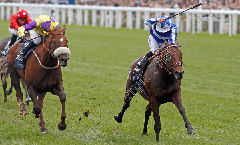 Donjuan-Triumphant-0006 
 DONJUAN TRIUMPHANT (Silvestre De Sousa) beats BRANDO (left) in The Qipco British Champions Sprint Stakes
Ascot 19 Oct 2019 - Pic Steven Cargill / Racingfotos.com