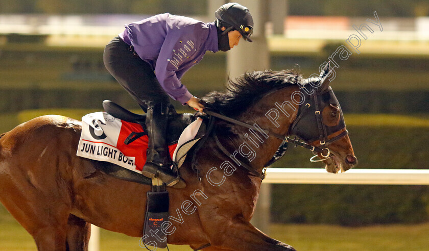 Jun-Light-Bolt-0001 
 JUN LIGHT BOLT training for the Dubai World Cup
Meydan, Dubai, 21 Mar 2023 - Pic Steven Cargill / Racingfotos.com