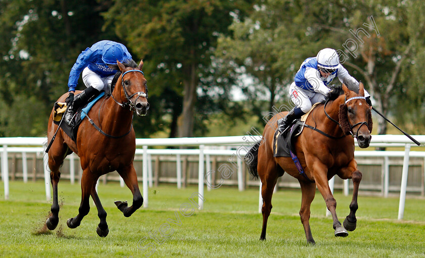 Anythingtoday-0002 
 ANYTHINGTODAY (Hollie Doyle) beats RANCHERO (left) in The Bob And Liz 40th Wedding Anniversary Handicap
Newmarket 31 Jul 2021 - Pic Steven Cargill / Racingfotos.com