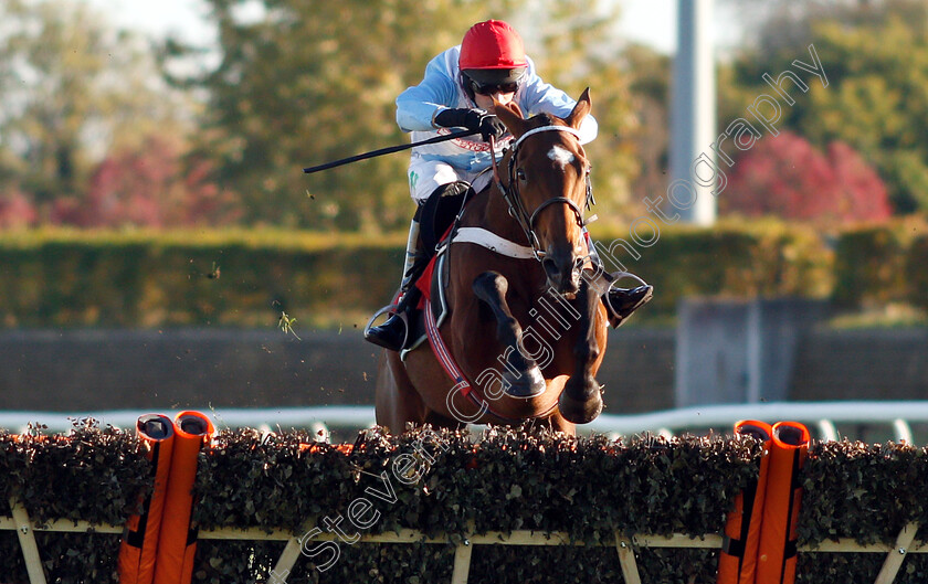 Verdana-Blue-0003 
 VERDANA BLUE (Nico De Boinville) wins The Matchbook VIP Hurdle
Kempton 21 Oct 2018 - Pic Steven Cargill / Racingfotos.com