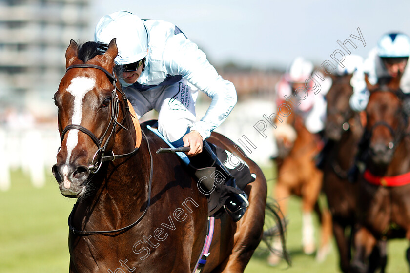 Abel-Tasman-0002 
 ABEL TASMAN (Harry Burns)
Newbury 17 Aug 2018 - Pic Steven Cargill / Racingfotos.com