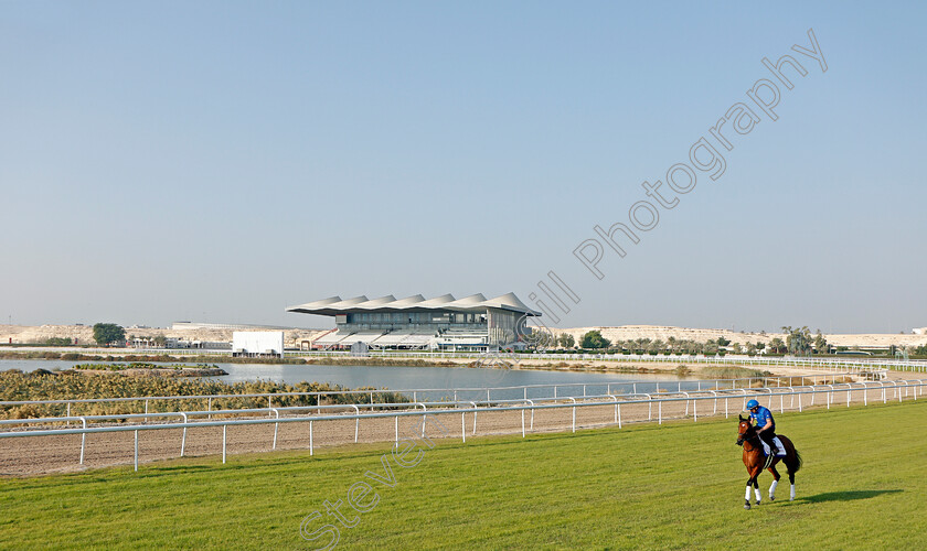 Dubai-Future-0002 
 DUBAI FUTURE exercising in preparation for Friday's Bahrain International Trophy
Sakhir Racecourse, Bahrain 18 Nov 2021 - Pic Steven Cargill / Racingfotos.com