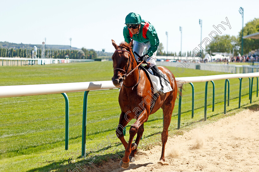 Rajapour-0006 
 RAJAPOUR (Christophe Soumillon) winner of The Prix de Crevecoeur
Deauville 6 Aug 2022 - Pic Steven Cargill / Racingfotos.com