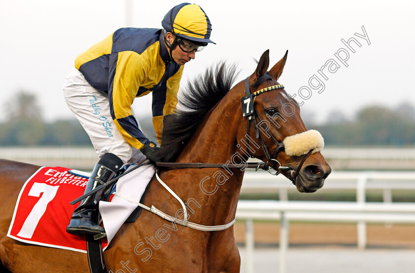 Surrounding-0001 
 SURROUNDING (Tadhg O'Shea)
Meydan 7 Mar 2020 - Pic Steven Cargill / Racingfotos.com