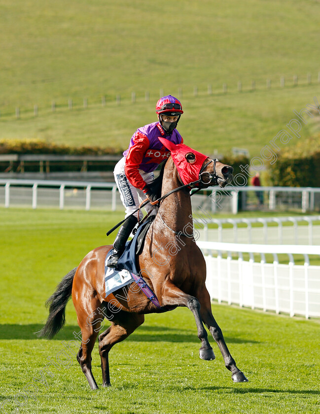 Elegant-Light-0001 
 ELEGANT LIGHT (Harry Bentley)
Goodwood 11 Oct 2020 - Pic Steven Cargill / Racingfotos.com