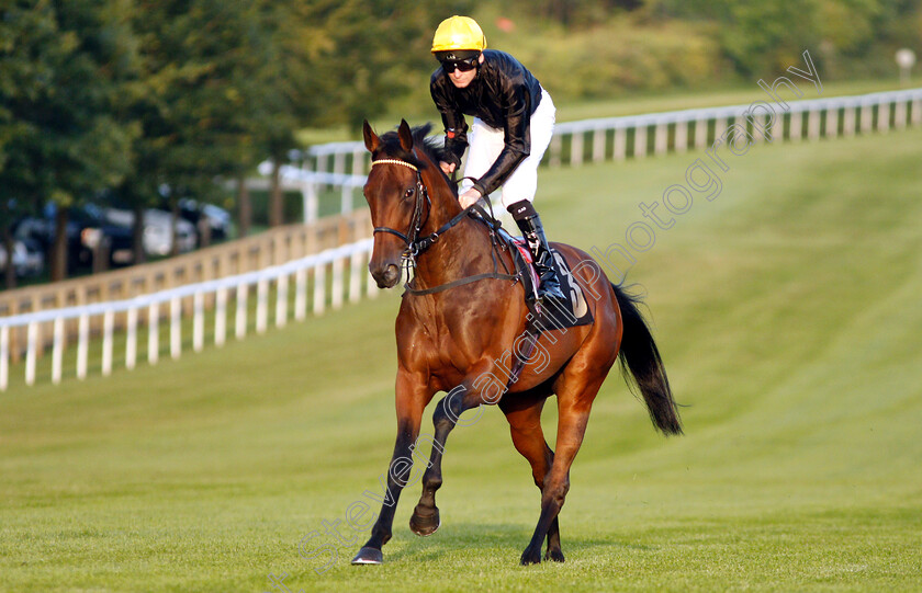 Fabulist-0001 
 FABULIST (Robert Havlin) winner of The Coates & Seely Brut Reserve Fillies Novice Stakes
Newmarket 28 Jun 2019 - Pic Steven Cargill / Racingfotos.com