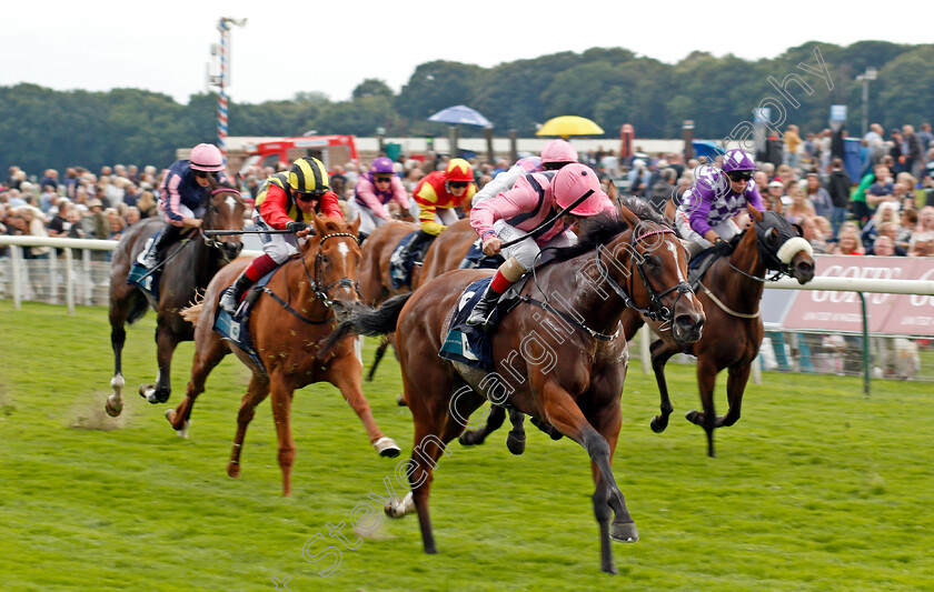 Sweet-Enough-0002 
 SWEET ENOUGH (Andrea Atzeni) wins The British Stallion Studs EBF Fillies Handicap
York 19 Aug 2021 - Pic Steven Cargill / Racingfotos.com