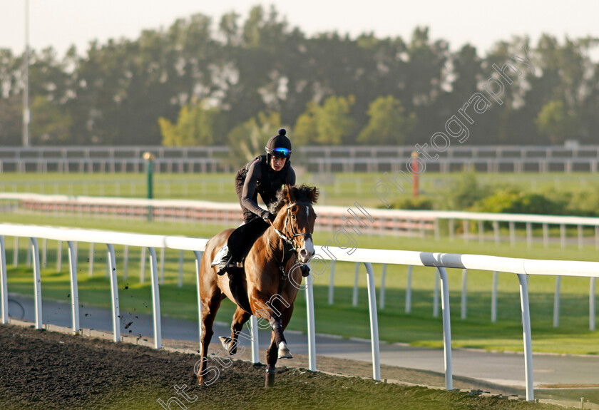 Magical-Morning-0002 
 MAGICAL MORNING training at the Dubai World Cup Carnival
Meydan 5 Jan 2023 - Pic Steven Cargill / Racingfotos.com