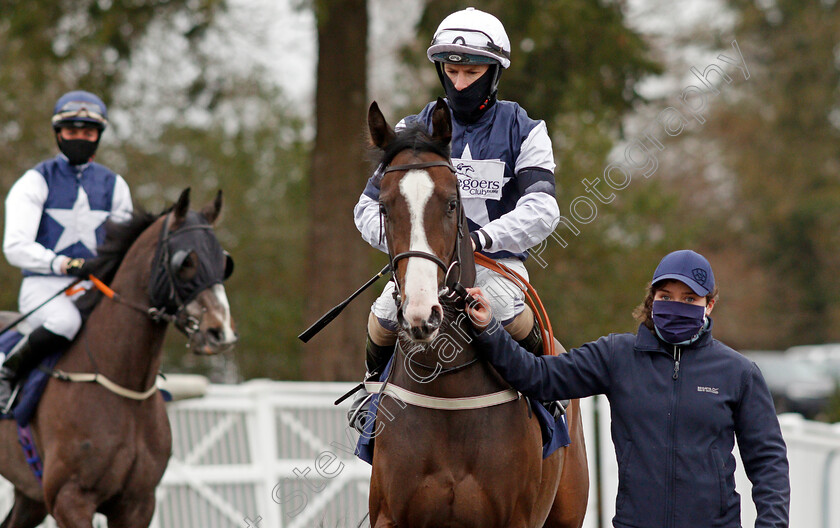 Tenaya-Canyon-0001 
 TENAYA CANYON (Richard Kingscote)
Lingfield 26 Mar 2021 - Pic Steven Cargill / Racingfotos.com