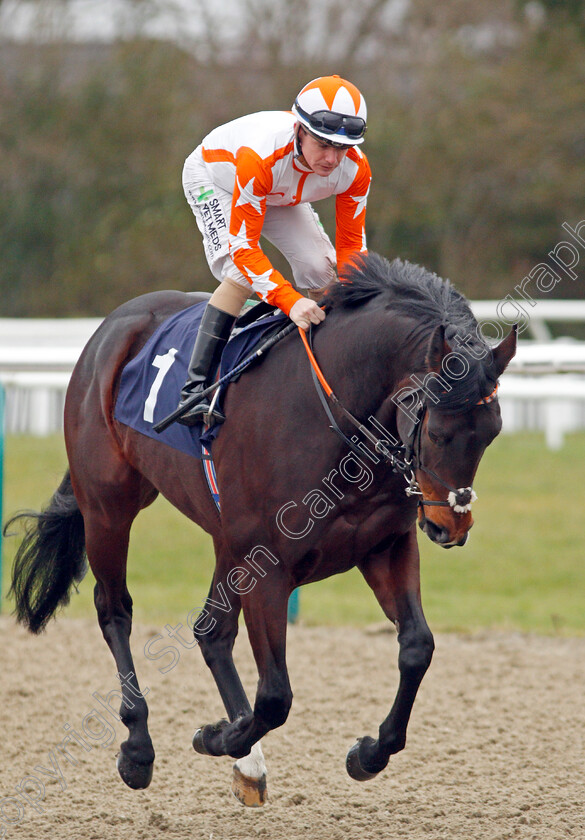 Elmejor-0002 
 ELMEJOR (Kieran O'Neill) winner of The Betway Novice Stakes
Lingfield 2 Jan 2020 - Pic Steven Cargill / Racingfotos.com