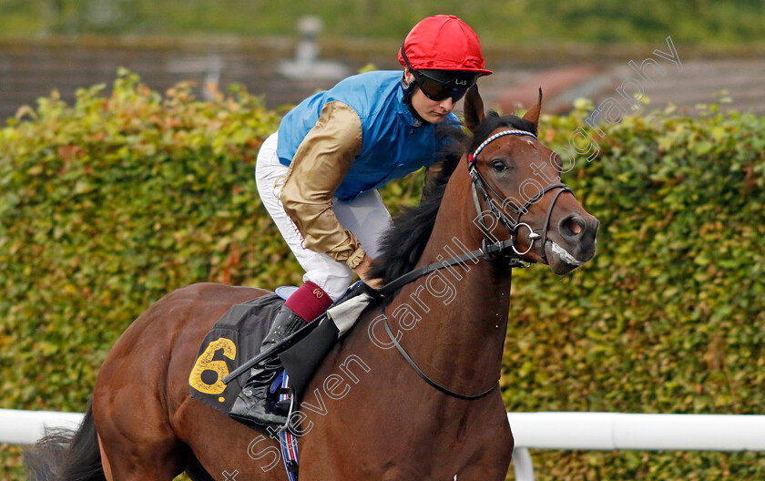 Fitzmaurice-0002 
 FITZMAURICE (Cieren Fallon)
Kempton 6 Sep 2024 - Pic Steven Cargill / Racingfotos.com