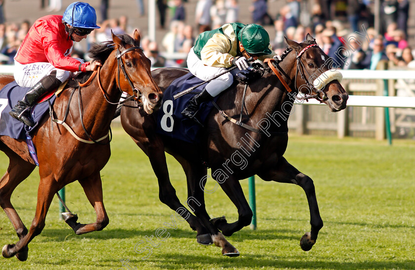 Toy-Theatre-0005 
 TOY THEATRE (right, Silvestre De Sousa) beats PARLANCE (left) in The Swynford Manor Wedding Venue Fillies Handicap Newmarket 28 Sep 2017 - Pic Steven Cargill / Racingfotos.com