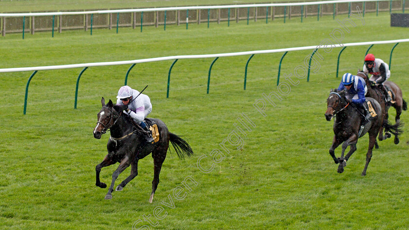 Urban-Violet-0003 
 URBAN VIOLET (William Buick) wins The Prestige Vehicles British EBF Fillies Novice Stakes Div1
Newmarket 31 Oct 2020 - Pic Steven Cargill / Racingfotos.com