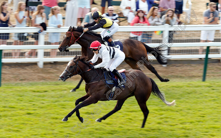 Letmestopyouthere-0003 
 LETMESTOPYOUTHERE (Sara Del Fabbro) wins The Silk Series Lady Riders Handicap
Yarmouth 18 Jul 2018 - Pic Steven Cargill / Racingfotos.com