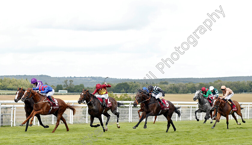 Nayef-Road-0002 
 NAYEF ROAD (Silvestre De Sousa) wins The Qatar Gordon Stakes
 Goodwood 1 Aug 2019 - Pic Steven Cargill / Racingfotos.com