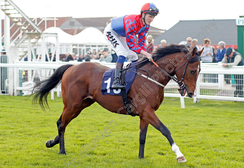 Hilary s-Boy 
 HILARY'S BOY (David Egan)
Yarmouth 19 Oct 2021 - Pic Steven Cargill / Racingfotos.com