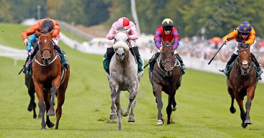 Double-Or-Bubble-0005 
 DOUBLE OR BUBBLE (left, Jack Mitchell) beats MISTY GREY (centre) and EVER GIVEN (right) in The Weatherbys Stallion Book Supreme Stakes
Goodwood 28 Aug 2022 - Pic Steven Cargill / Racingfotos.com