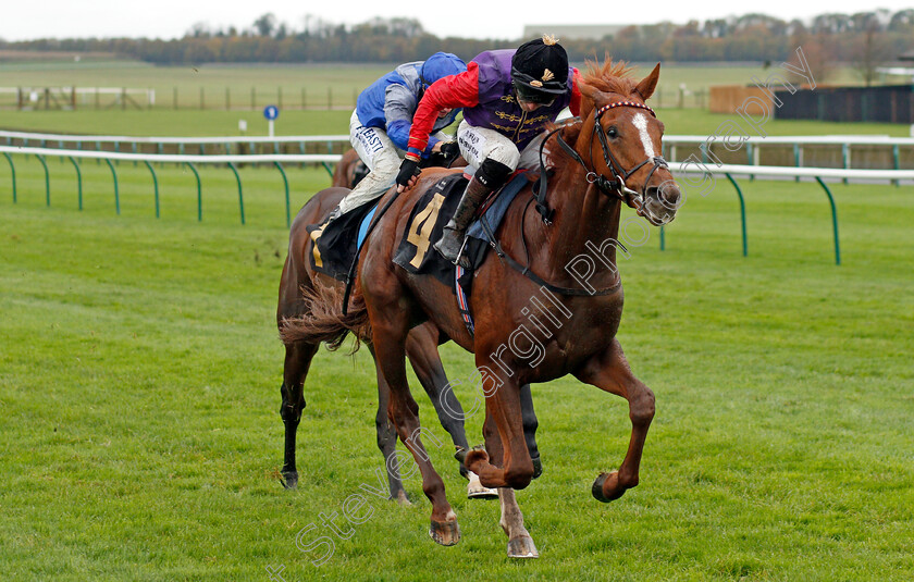 Pied-Piper-0004 
 PIED PIPER (Robert Havlin) wins The Rossdales Laboratories Maiden Stakes
Newmarket 21 Oct 2020 - Pic Steven Cargill / Racingfotos.com