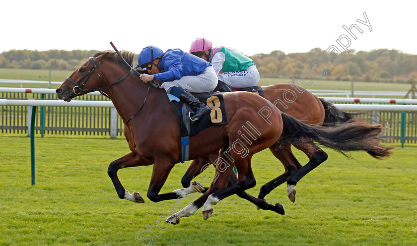 Regal-Honour-0002 
 REGAL HONOUR (William Buick) wins The Stephen Rowley Remembered Novice Stakes
Newmarket 19 Oct 2022 - Pic Steven Cargill / Racingfotos.com