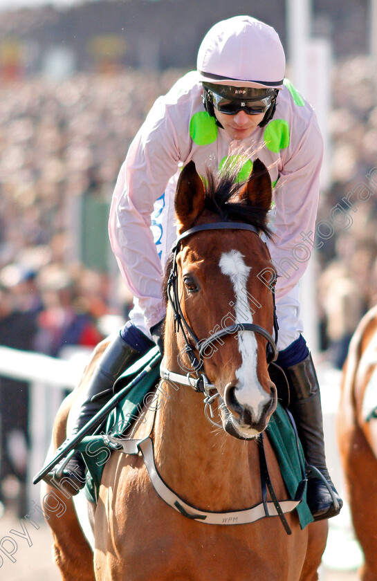 Faugheen-0001 
 FAUGHEEN (Paul Townend)
Cheltenham 12 Mar 2020 - Pic Steven Cargill / Racingfotos.com