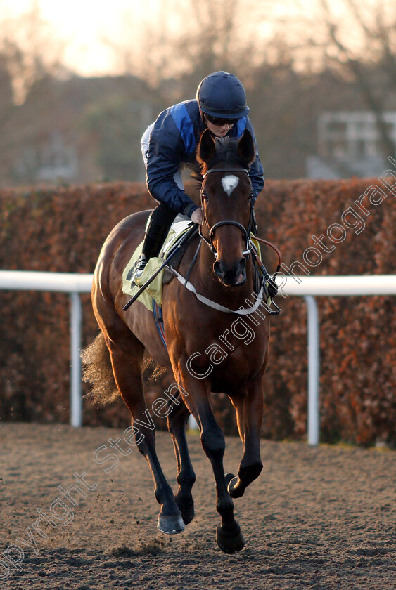 Redemptive-0001 
 REDEMPTIVE (Hollie Doyle)
Kempton 4 Jan 2019 - Pic Steven Cargill / Racingfotos.com