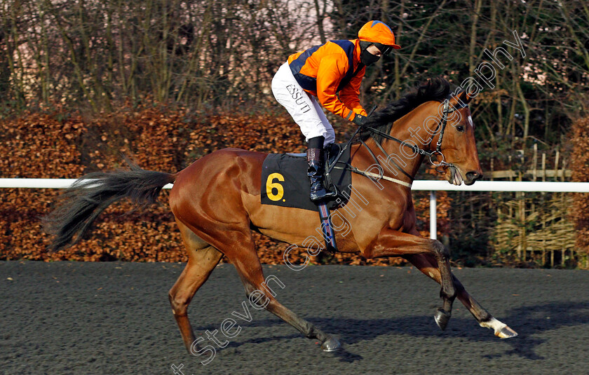 Potters-Freddie-0002 
 POTTERS FREDDIE (Tom Queally)
Kempton 3 Feb 2021 - Pic Steven Cargill / Racingfotos.com