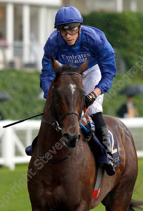 Blue-Point-0009 
 BLUE POINT (James Doyle) after The King's Stand Stakes
Royal Ascot 18 Jun 2019 - Pic Steven Cargill / Racingfotos.com