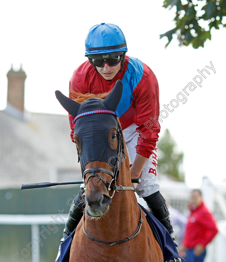 Alvediston-0001 
 ALVEDISTON (Tom Marquand)
Yarmouth 15 Sep 2021 - Pic Steven Cargill / Racingfotos.com