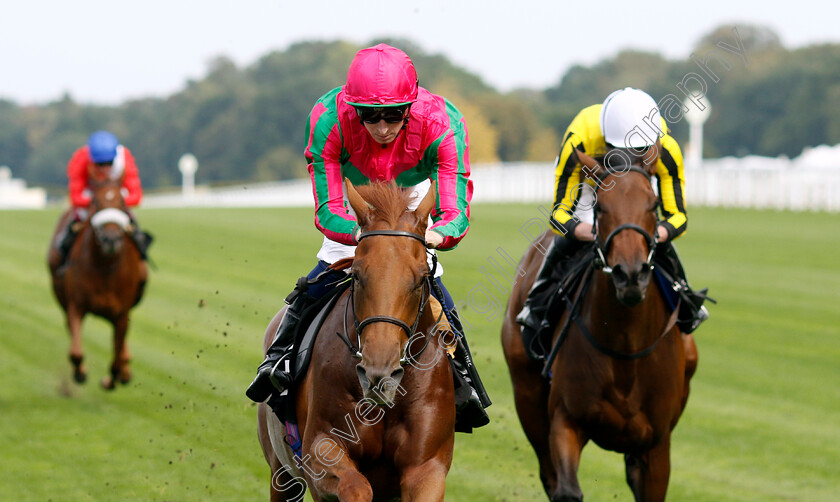 Seaward-0003 
 SEAWARD (Hector Crouch) wins The Memberships At Ascot EBF Fillies Novice Stakes
Ascot 8 Sep 2023 - Pic Steven Cargill / Racingfotos.com