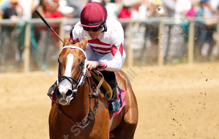 Fleeterthan-0004 
 FLEETERTHAN (Joel Rosario) wins Maiden
Pimlico, Baltimore USA, 17 May 2019 - Pic Steven Cargill / Racingfotos.com