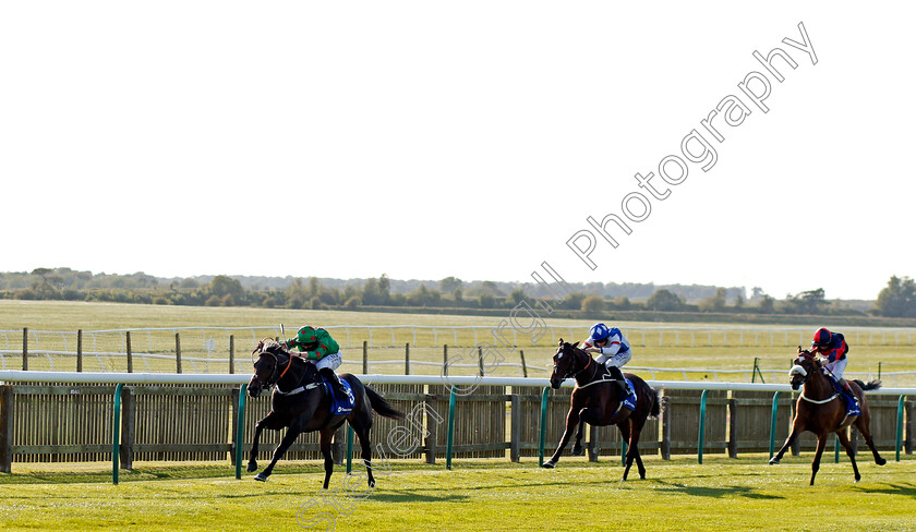 Ocean-Wind-0001 
 OCEAN WIND (Jack Mitchell) wins The Close Brothers Cesarewitch Trial Handicap
Newmarket 19 Sep 2020 - Pic Steven Cargill / Racingfotos.com