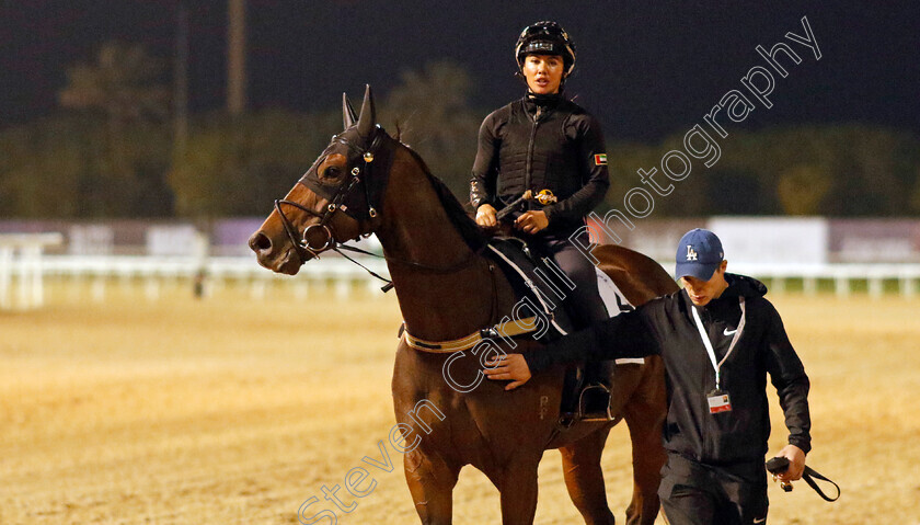 The-Astrologist-0005 
 THE ASTROLOGIST training for the Al Quoz Sprint
Meydan, Dubai, 23 Mar 2023 - Pic Steven Cargill / Racingfotos.com