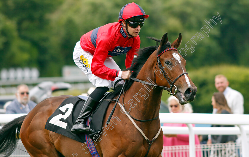 Billboard-Star-0002 
 BILLBOARD STAR (Charles Bishop)
Goodwood 9 Jun 2024 - Pic Steven Cargill / Racingfotos.com