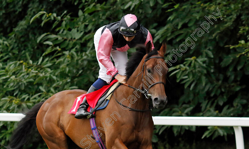 Mr-Monaco-0005 
 MR MONACO (Hector Crouch) winner of The My Pension Expert Handicap
Sandown 8 Aug 2024 - Pic Steven Cargill / Racingfotos.com