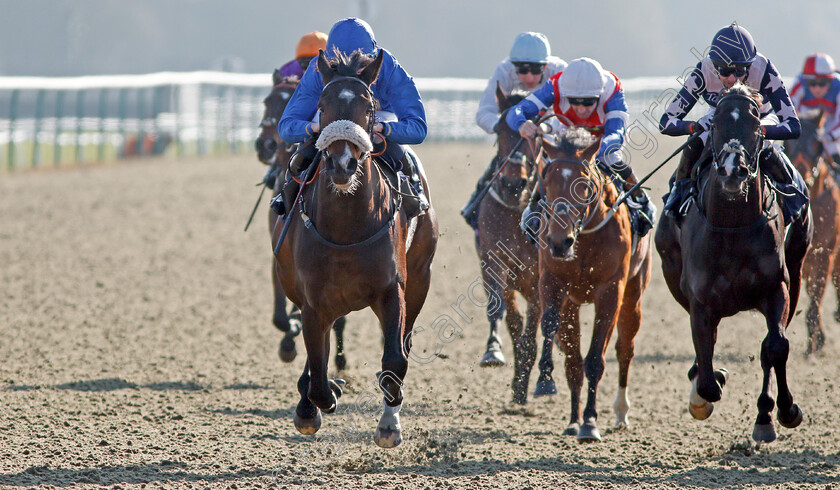 Mandalayan-0005 
 MANDALAYAN (left, Rob Hornby) beats BOBBY K (right) in The 32Red CAsino Novice Stakes Lingfield 24 Feb 2018 - Pic Steven Cargill / Racingfotos.com