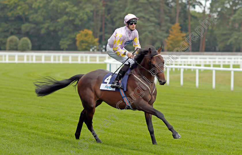 Cosmic-Power-0001 
 COSMIC POWER (Charles Bishop) winner of The Italian Tourist Board British EBF Novice Auction Stakes
Ascot 6 Sep 2019 - Pic Steven Cargill / Racingfotos.com