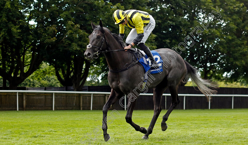 Vandeek-0002 
 VANDEEK (James Doyle)
Newmarket 13 Jul 2024 - Pic Steven Cargill / Racingfotos.com