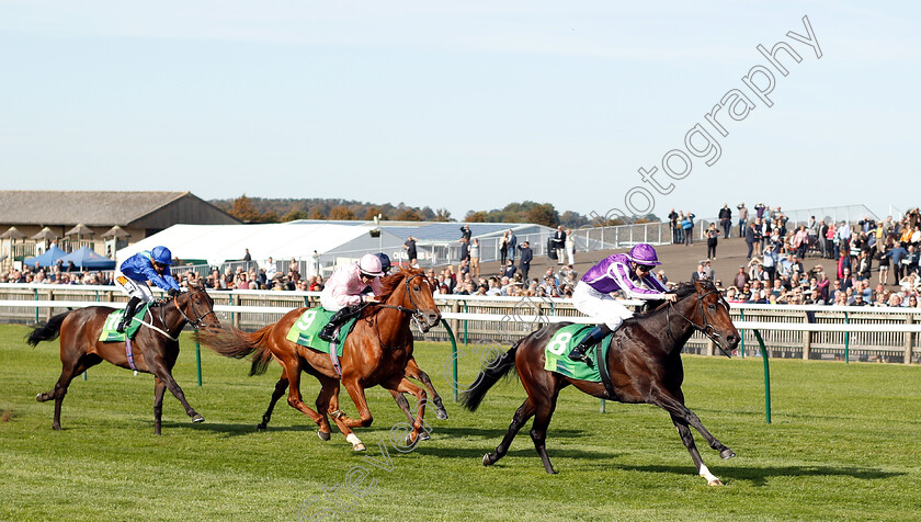 Mohawk-0002 
 MOHAWK (Donnacha O'Brien) beats SYDNEY OPERA HOUSE (centre) in The Juddmonte Royal Lodge Stakes
Newmarket 29 Sep 2018 - Pic Steven Cargill / Racingfotos.com