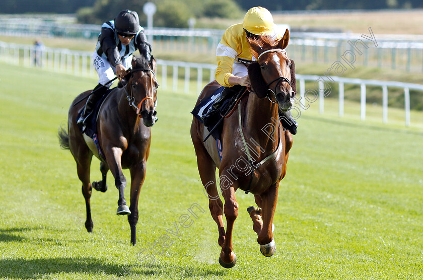 Space-Ace-0004 
 SPACE ACE (Adam McNamara) wins The Follow At The Races On Twitter Novice Auction Stakes
Lingfield 24 Jul 2019 - Pic Steven Cargill / Racingfotos.com