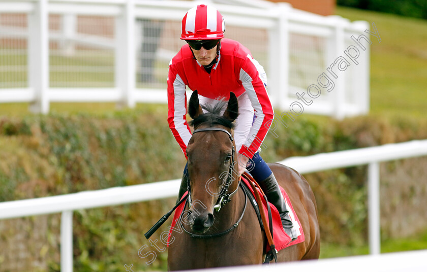 Rocket-Rodney-0002 
 ROCKET RODNEY (Daniel Muscutt) winner of The Coral Dragon Stakes
Sandown 1 Jul 2022 - Pic Steven Cargill / Racingfotos.com