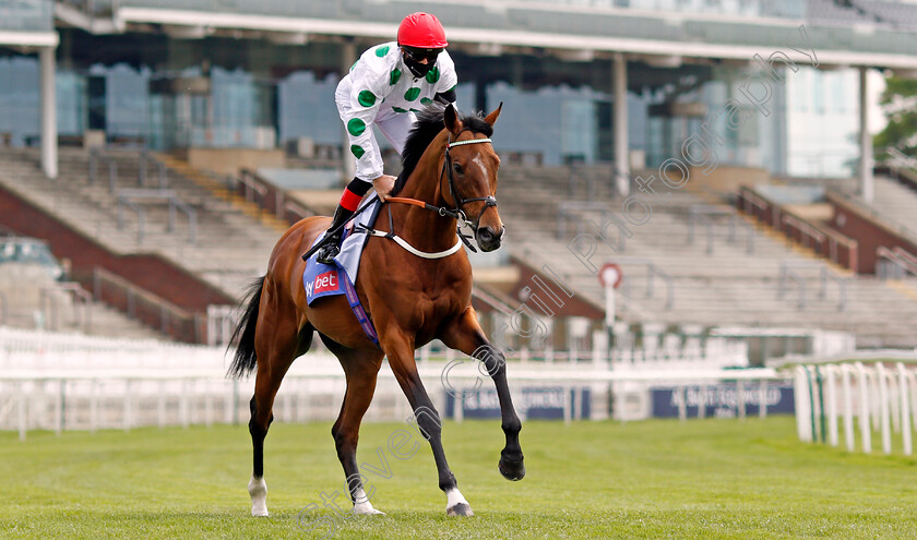 Raymond-Tusk-0001 
 RAYMOND TUSK (Martin Harley)
York 12 May 2021 - pic Steven Cargill / Racingfotos.com