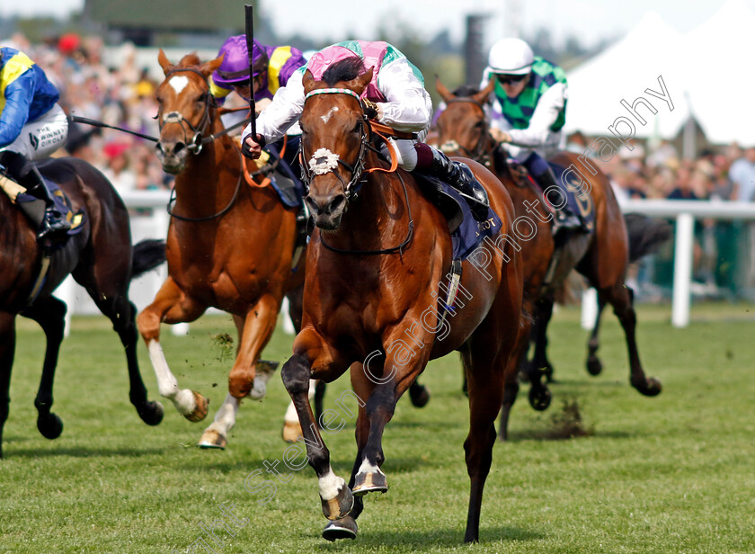 Kikkuli-0001 
 KIKKULI (Oisin Muphy)
Royal Ascot 22 Jun 2024 - Pic Steven Cargill / Racingfotos.com