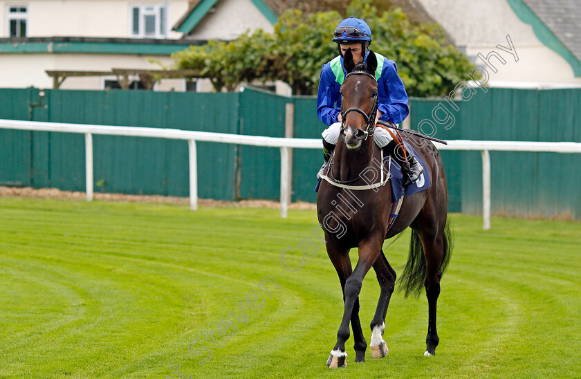 Volcanology-0001 
 VOLCANOLOGY (Rossa Ryan)
Yarmouth 21 Sep 2023 - Pic Steven Cargill / Racingfotos.com