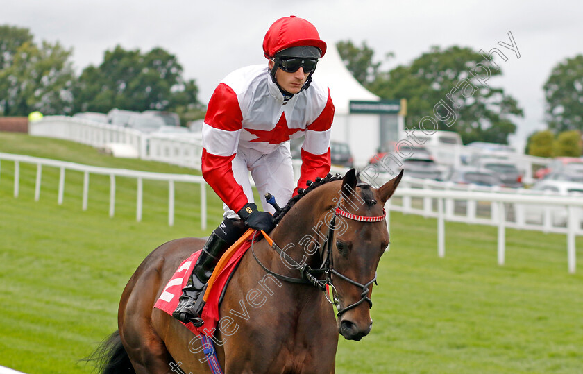 Anshoda-0001 
 ANSHODA (Thomas Greatrex)
Sandown 25 Jul 2024 - Pic Steven Cargill / Racingfotos.com