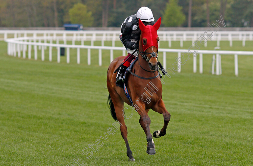 Delta-Bay-0001 
 DELTA BAY (Frankie Dettori)
Ascot 28 Apr 2021 - Pic Steven Cargill / Racingfotos.com