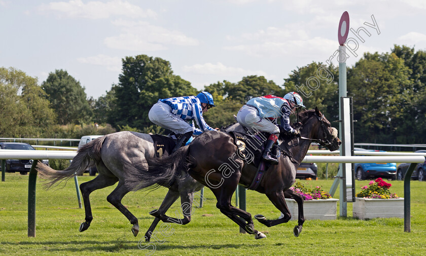 Ghost-Story-0001 
 GHOST STORY (David Egan) wins The Follow Rhino.bet On Instagram EBF Fillies Novice Stakes
Nottingham 19 Jul 2024 - Pic Steven Cargill / Megan Dent / Racingfotos.com