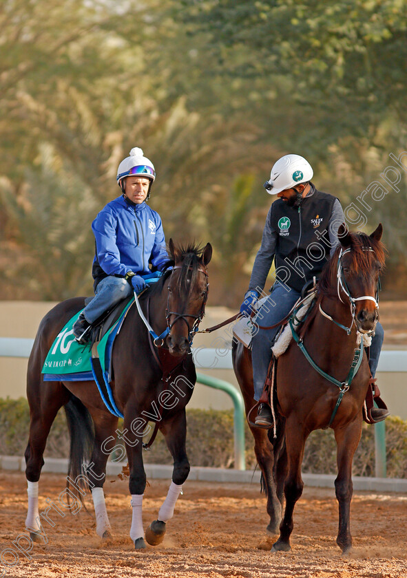 Midnight-Bisou-0002 
 MIDNIGHT BISOU preparing for the Saudi Cup
Riyadh Racecourse, Kingdom of Saudi Arabia 26 Feb 2020 - Pic Steven Cargill / Racingfotos.com