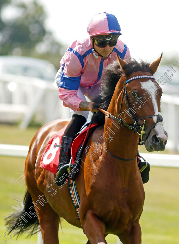 Standbackandlook-0002 
 STANDBACKANDLOOK (Jefferson Smith)
Sandown 7 Jul 2023 - Pic Steven Cargill / Racingfotos.com