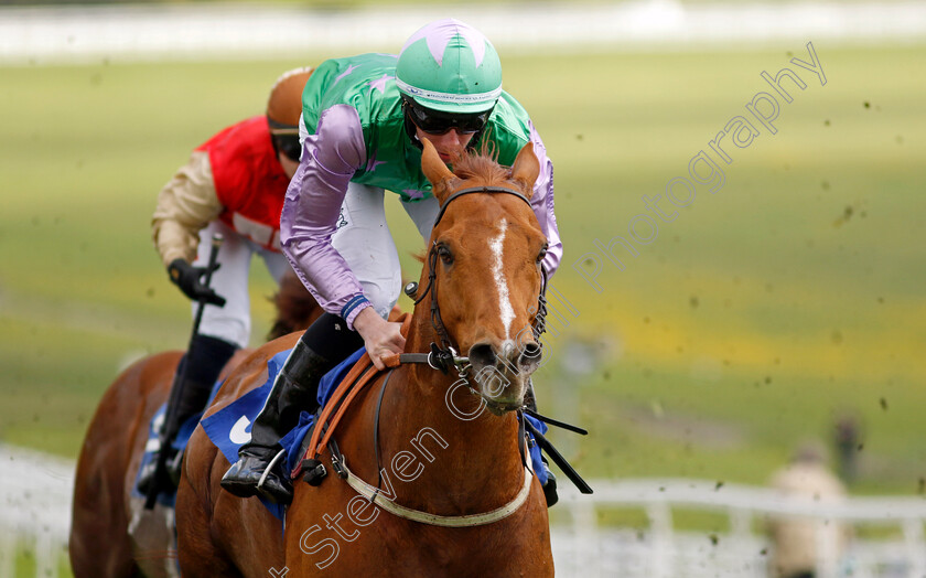 Lihou-0001 
 LIHOU (Rossa Ryan) wins The Indigenous Handicap
Epsom 25 Apr 2023 - Pic Steven Cargill / Racingfotos.com